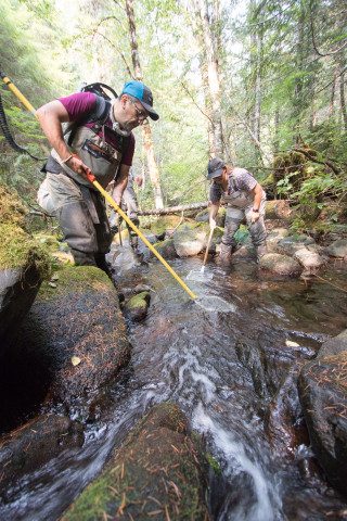 Mack Creek Vertebrates Study 2021