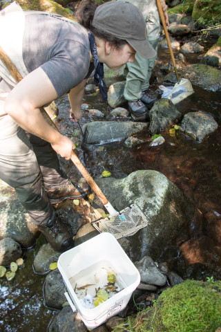 Mack Creek Vertebrates Study 2021
