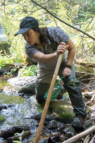 Mack Creek Vertebrates Study 2021