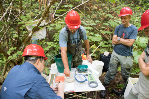 Mack Creek Vertebrates Study 2021