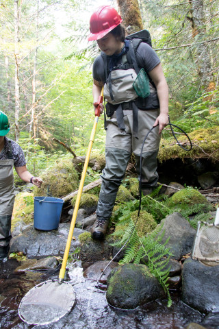 Mack Creek Vertebrates Study 2021