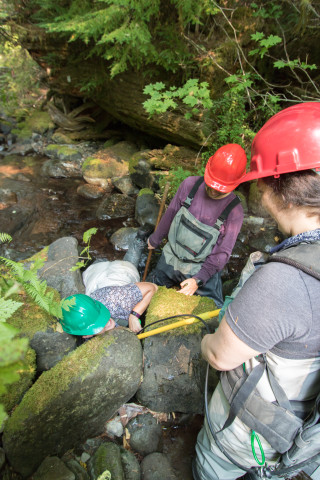 Mack Creek Vertebrates Study 2021