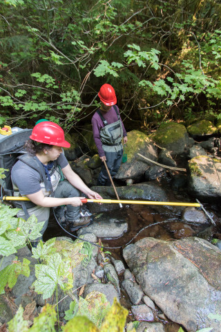 Mack Creek Vertebrates Study 2021
