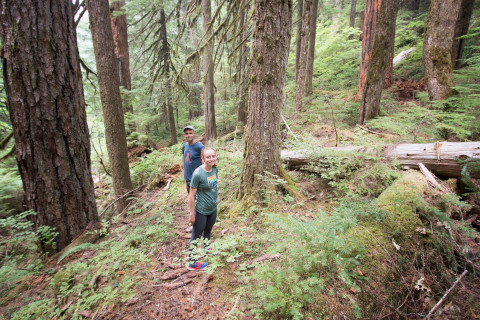 Mack Creek Vertebrates Study 2021