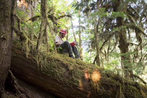Pacific Northwest Permanent Sample Plot Program, Field work 2021