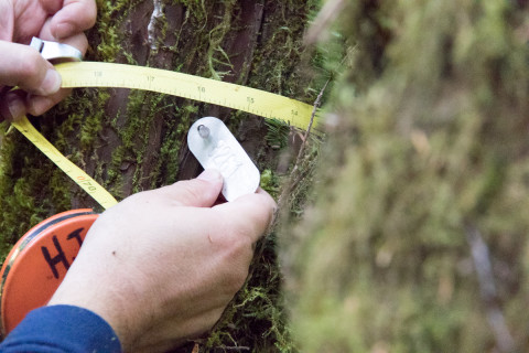 Pacific Northwest Permanent Sample Plot Program, Field work 2021