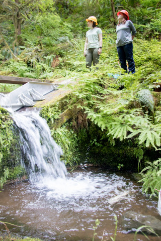 soil hydrology in Watershed 2