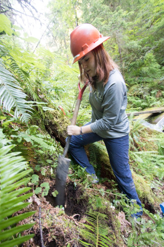soil hydrology in Watershed 2