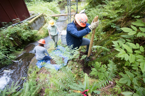 soil hydrology in Watershed 2