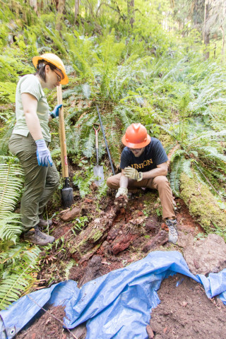 soil hydrology in Watershed 2
