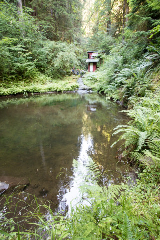 soil hydrology in Watershed 2