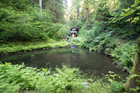 soil hydrology in Watershed 2