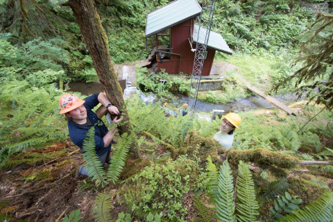 soil hydrology in Watershed 2