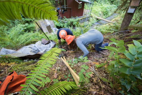 soil hydrology in Watershed 2