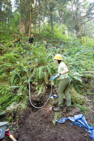 soil hydrology in Watershed 2