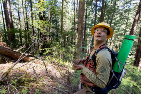 Tree growth and survival: the influence of disturbance and elevation