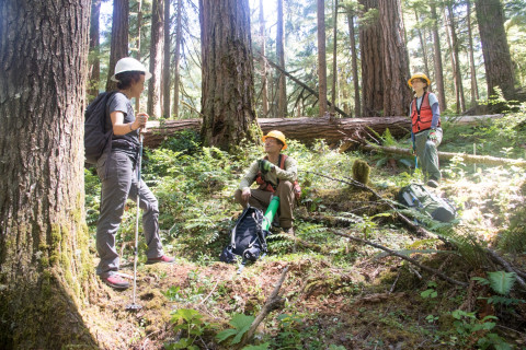Tree growth and survival: the influence of disturbance and elevation