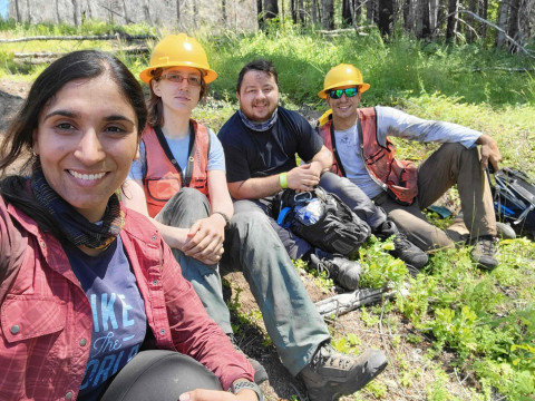 Tree growth and survival: the influence of disturbance and elevation