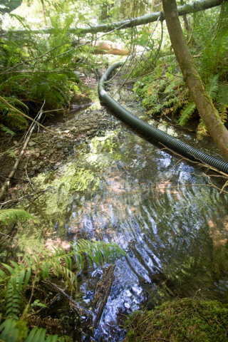 Drought dewatering experiment 2022