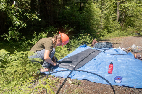 Drought dewatering experiment 2022