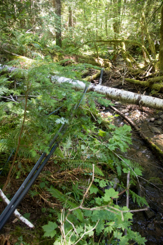 Drought dewatering experiment 2022