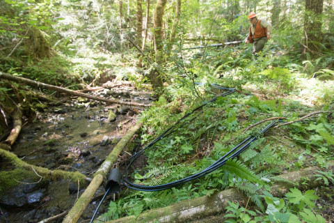 Drought dewatering experiment 2022
