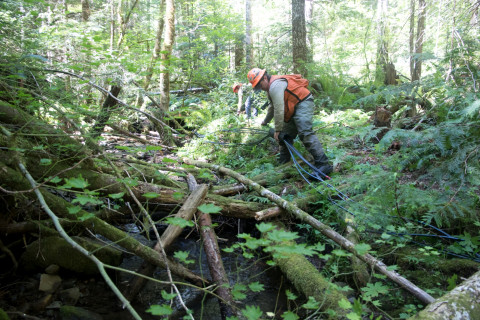 Drought dewatering experiment 2022