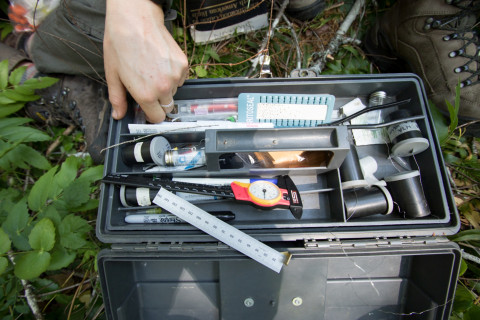 Bird population study and bird banding
