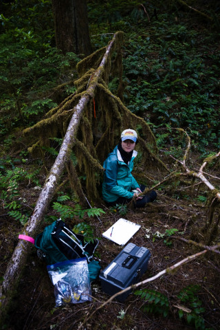 Bird population study and bird banding