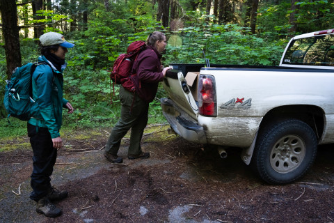 Bird population study and bird banding