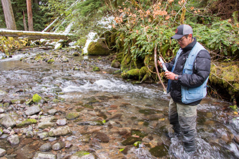 Lookout Creek isotope sampling