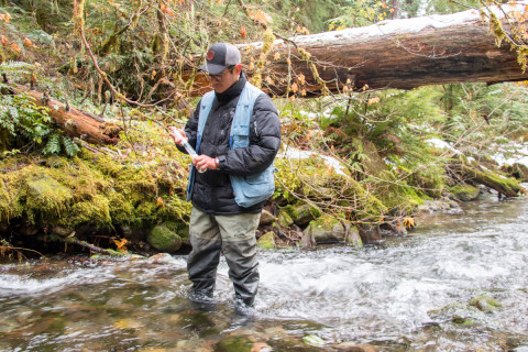 Lookout Creek isotope sampling