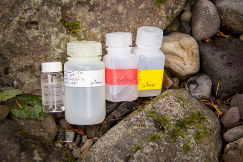 Lookout Creek isotope sampling