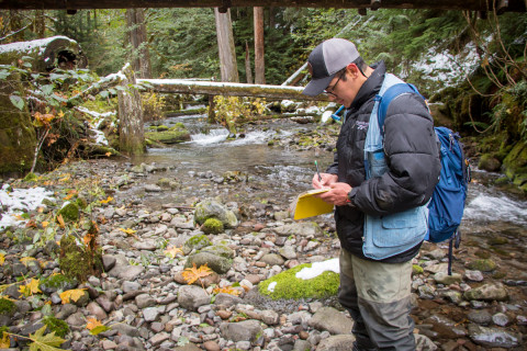 Lookout Creek isotope sampling