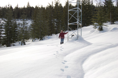 Upper Lookout meterological station during April 2008 snow event