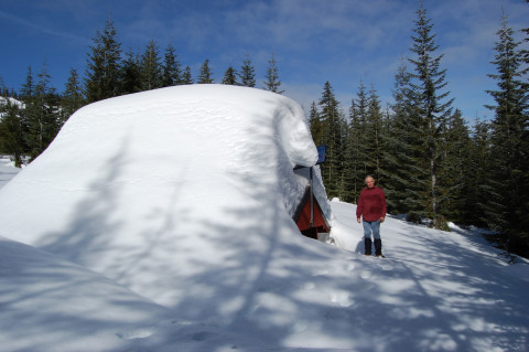 Upper Lookout Met Shelter during snow event