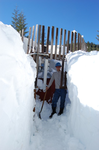 Upper Lookout Met Stand Alone Rain Gauge During Snow Event