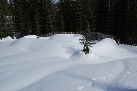 Upper Lookout MetStand Alone Rain Gauge During Snow Event