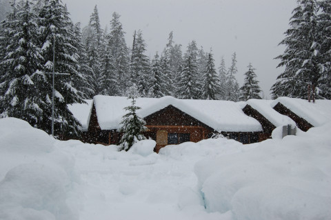 HJA headquarters during April 2008 snow event
