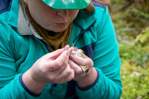 Bird Banding Spring 2023