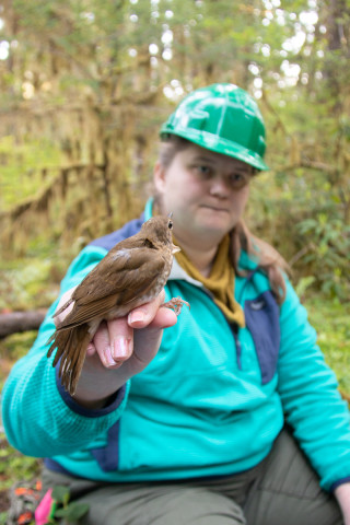 Bird Banding Spring 2023