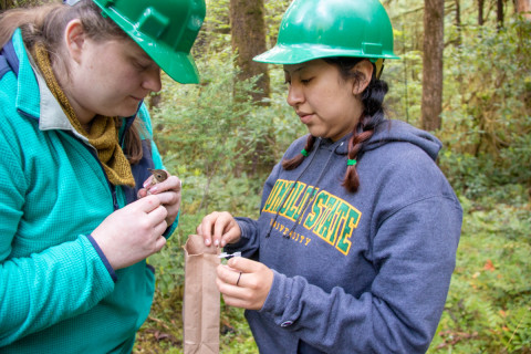 Bird Banding Spring 2023