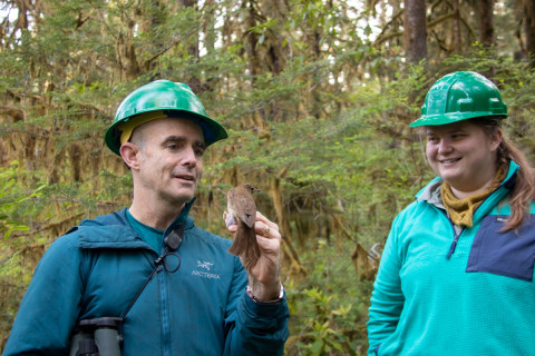 Bird Banding Spring 2023