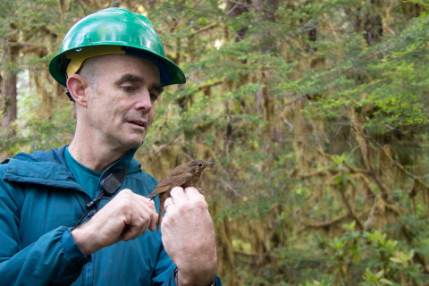 Bird Banding Spring 2023