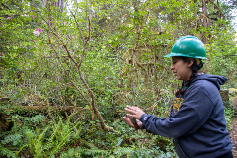 Bird Banding Spring 2023