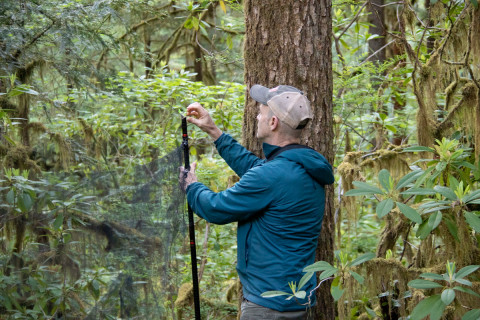 Bird Banding Spring 2023