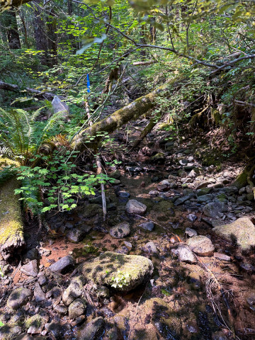 Drought Experiment 2023