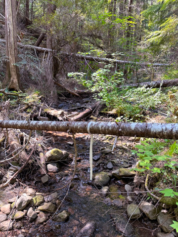Drought Experiment 2023