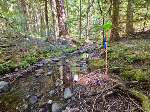Drought Experiment 2023