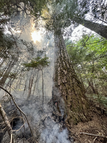 Lookout Fire 2023